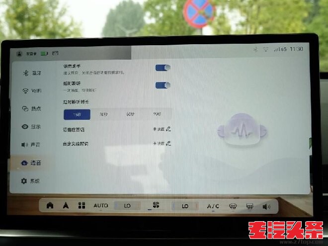 tzhdhdedkco9730.jpg